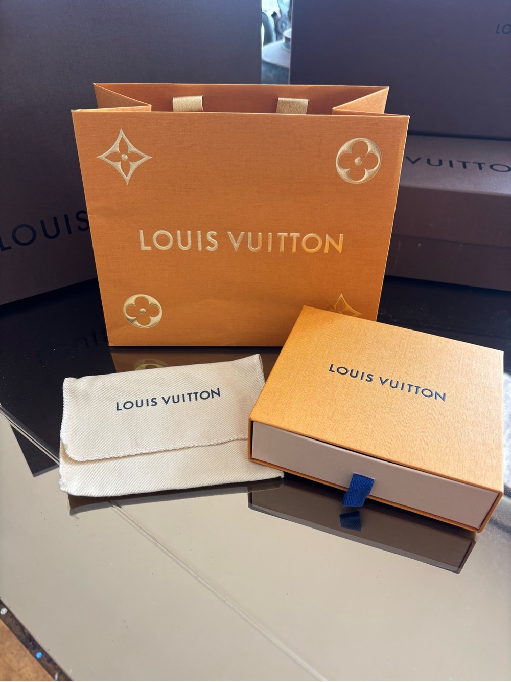Louis Vuitton Holiday Shopping Tote & box. Monogram Gift Bag.